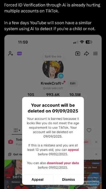 AI Deletes Underage TikTok Accounts