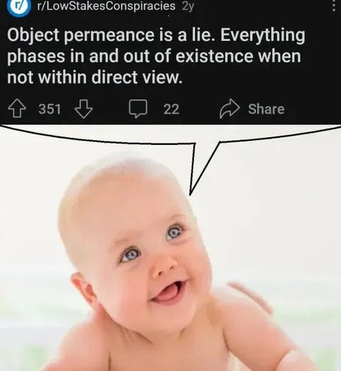 Object Permanence Is a Lie