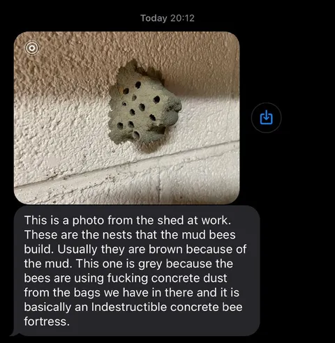 Indestructible Concrete Bee Fortress
