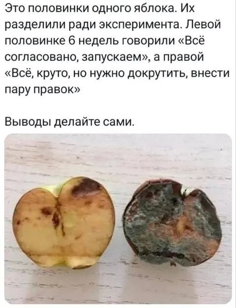 Половинки одного яблока
