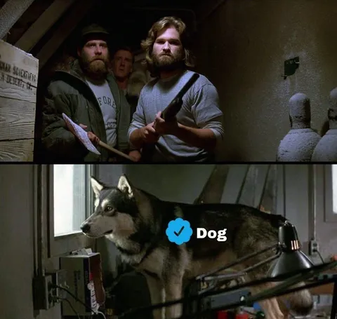 Verified Dog in The Thing