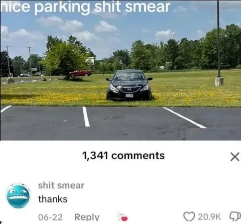Nice Parking, Shit Smear