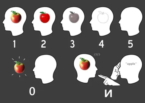 Apple in the Head