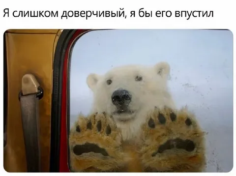 Слишком доверчивый медведь