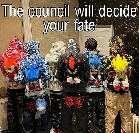 The Council Will Decide Your Fate