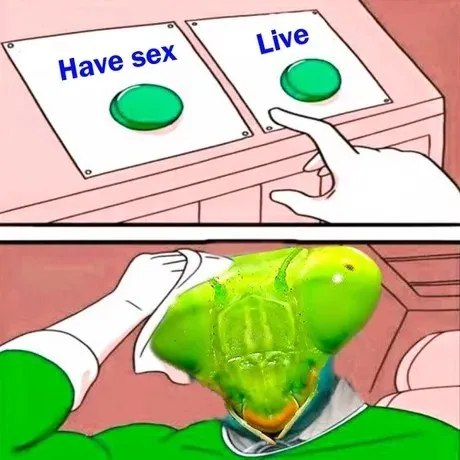 Have Sex or Live