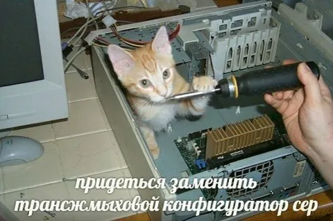 Кот чинит компьютер