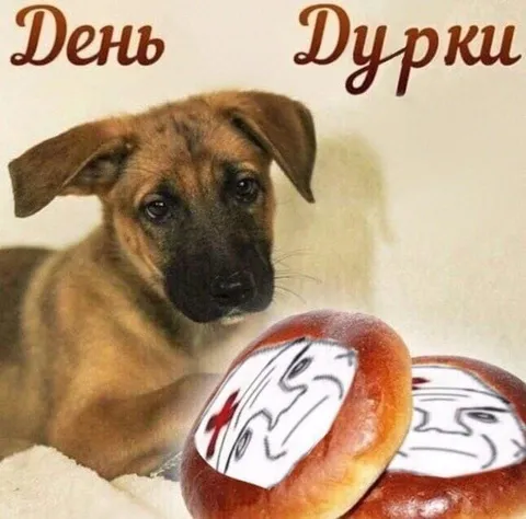 День дурки с булочками