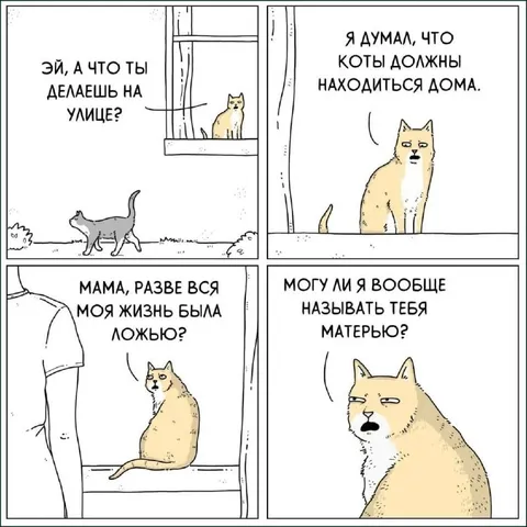Кот спорит с мамой