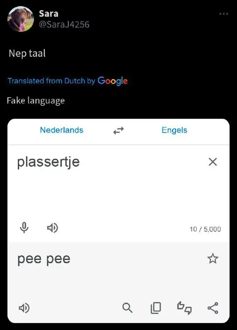 Fake Dutch Language Translation