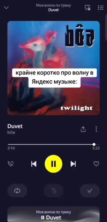 Крайне коротко про волну в Яндекс Музыке