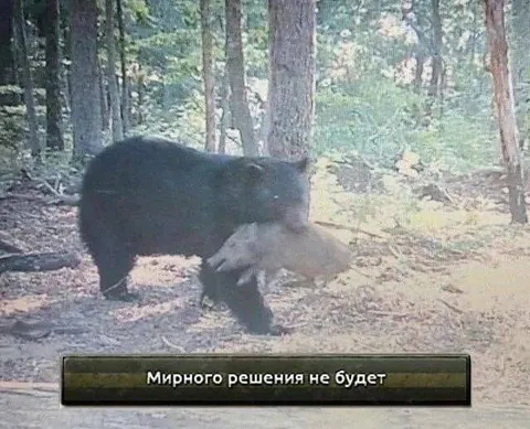 Мирного решения не будет