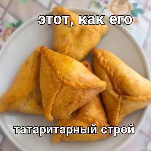 Татаритарный строй самсы
