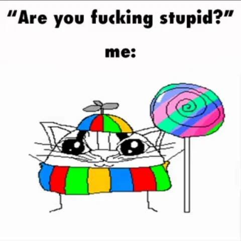 Are You Fucking Stupid Cat