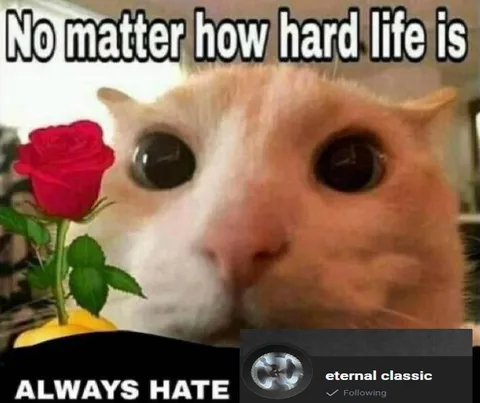 No Matter How Hard Life Is
