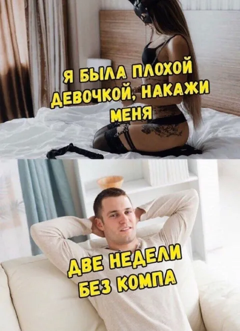 Две недели без компа
