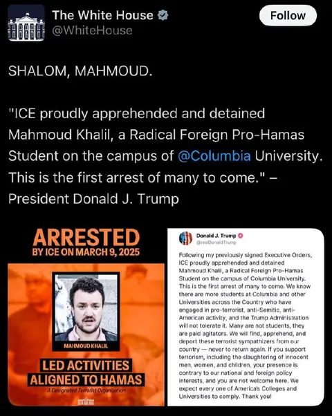 Shalom Mahmoud Arrest Announcement