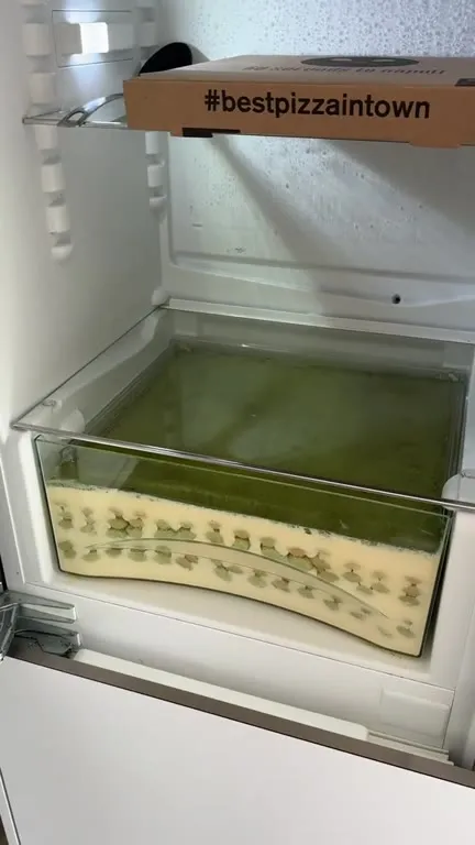 Moldy Lasagna from the Fridge