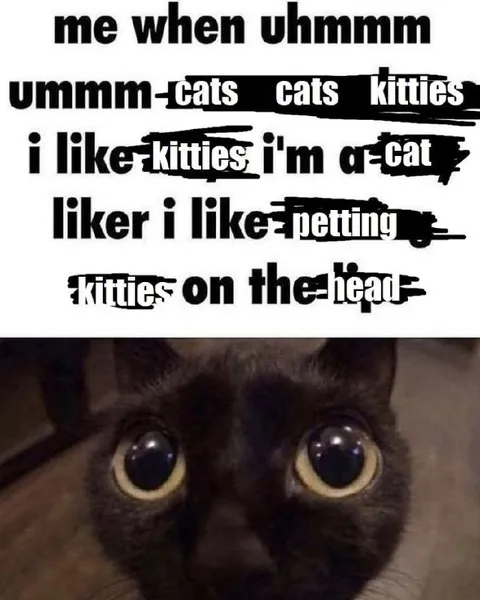Me When Uhmmm Cats