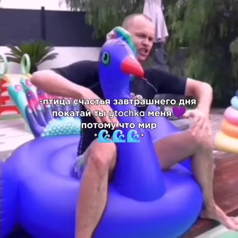 Птица счастья на утке