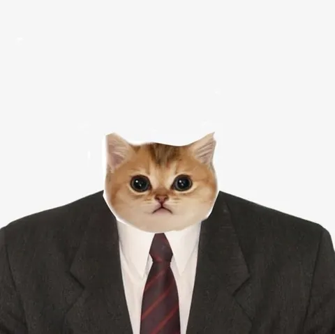 Кот в деловом костюме