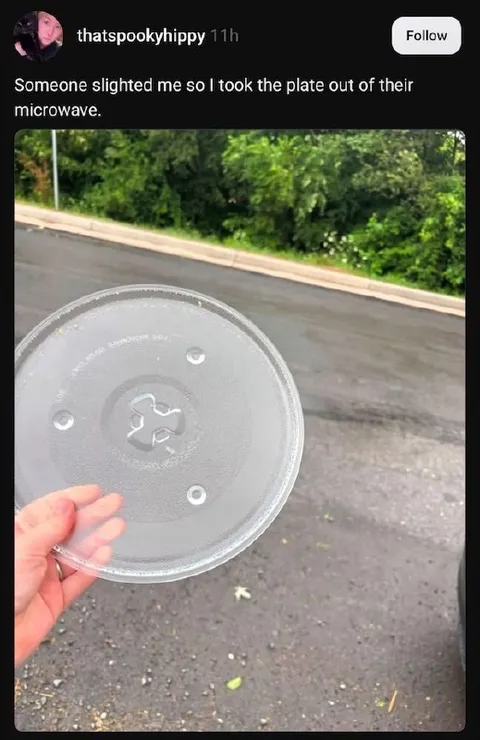 Microwave Plate Revenge