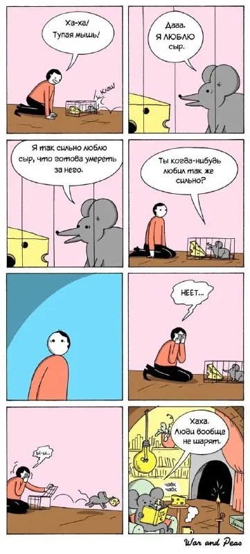 Мышь любит сыр больше всего