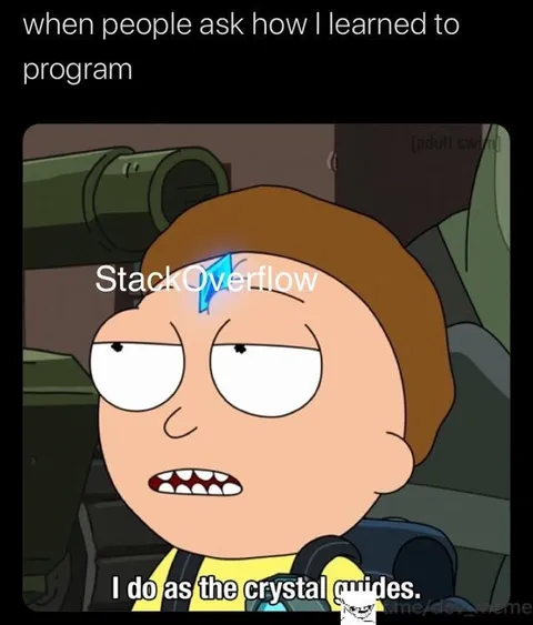 How I Learned to Program