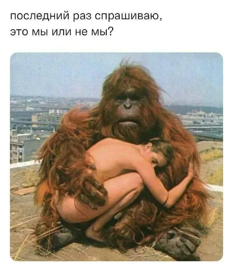 Последний раз спрашиваю