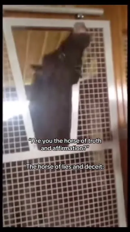 Horse of Lies and Deceit