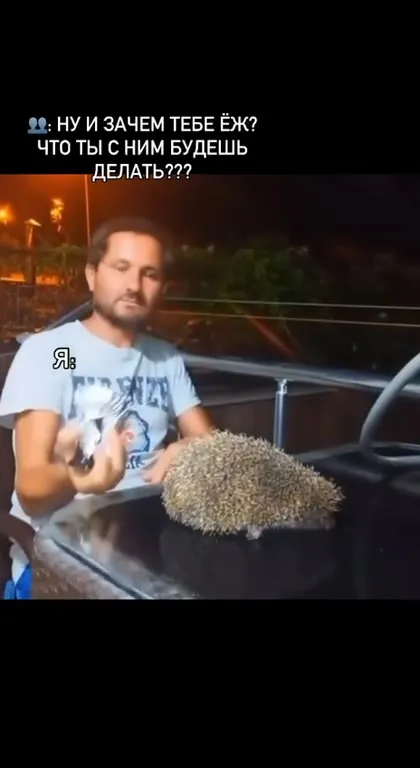 Что делать с ёжиком