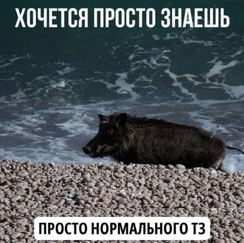 Хочется просто нормального ТЗ