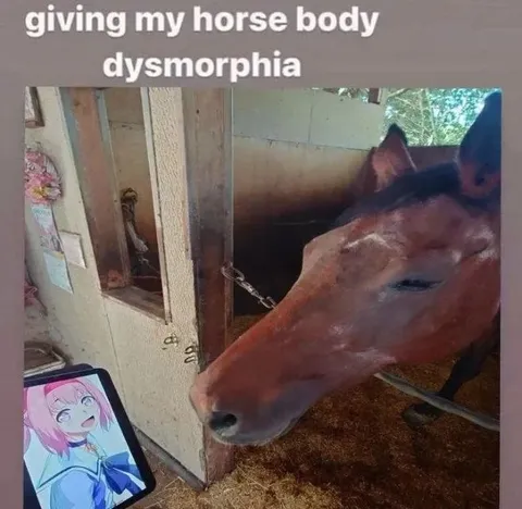 Giving My Horse Body Dysmorphia