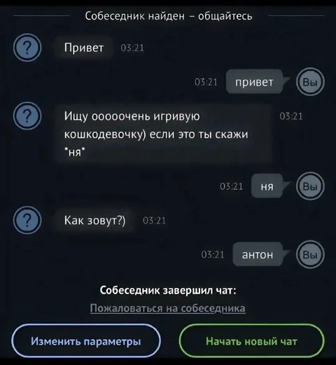 Антон и кошкодевочка в чате