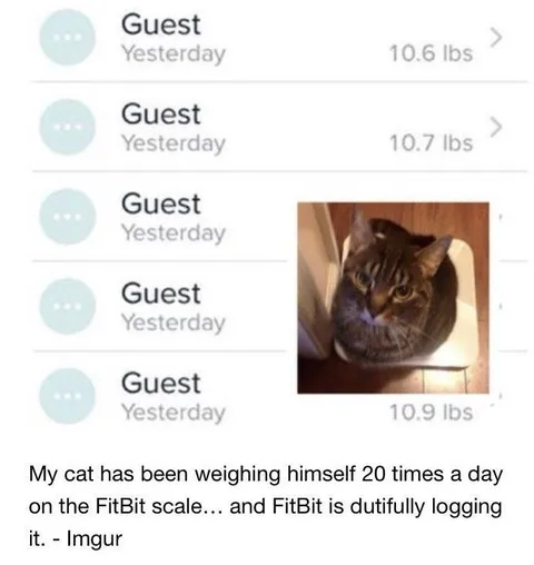 Cat Weighs Itself Constantly