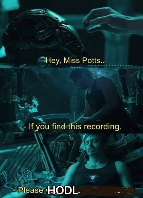 Tony Stark Please HODL