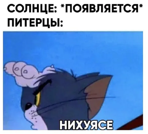 Питерцы увидели солнце