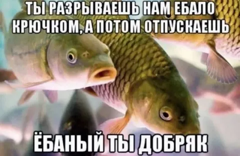 Рыбы называют тебя добряком
