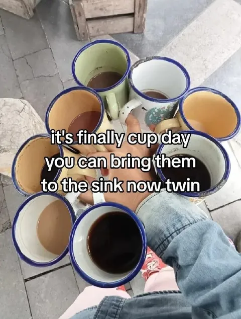 It's Finally Cup Day
