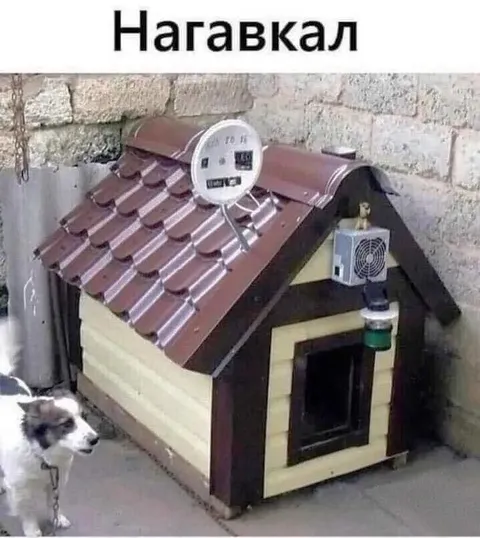 Нагавкал себе будку