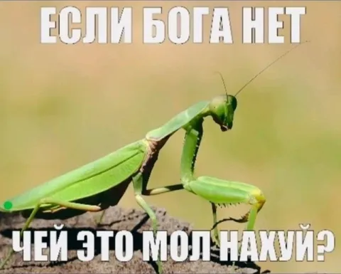 Если Бога нет, чей это мой нахуй?