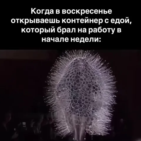 Еда с работы в воскресенье