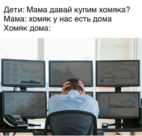 Хомяк дома и биржевой крах