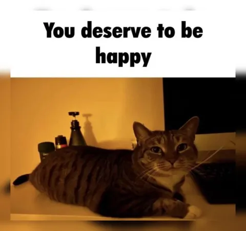 You Deserve to Be Happy Cat