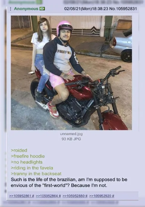 Brazilian Life Greentext
