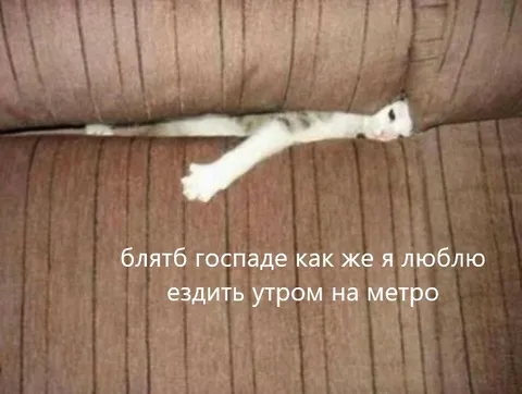 Люблю ездить утром на метро