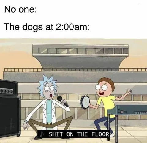 Dogs at 2 AM