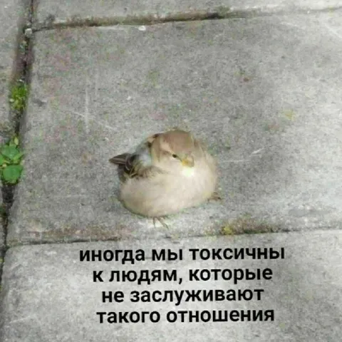 Иногда мы токсичны без причины