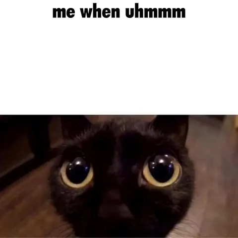 Sneaky Cat Admits to Stealing