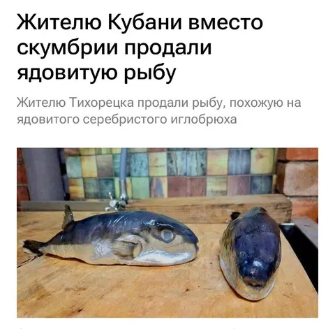 Ядовитая рыба вместо скумбрии